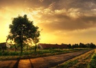 WordPress日期和时间函数：the_time()